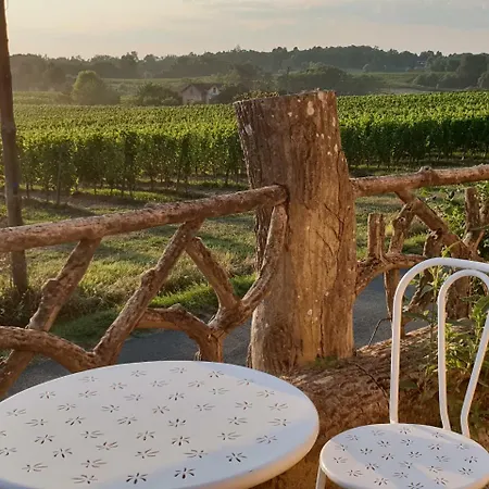Bed & Breakfast D'hotes Ptits Dej Inclus - Salle D'eau A Vous - Parking Prive Gratuit - Centre Bergerac 5km - Domaine De Bellevue